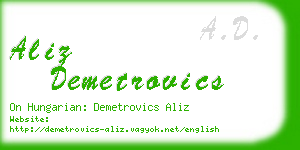 aliz demetrovics business card